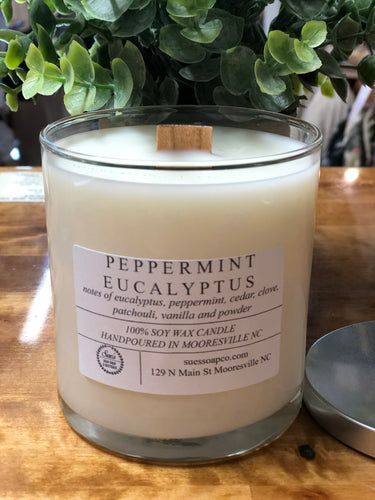 Peppermint Eucalyptus Soy Wax Candle/Melts