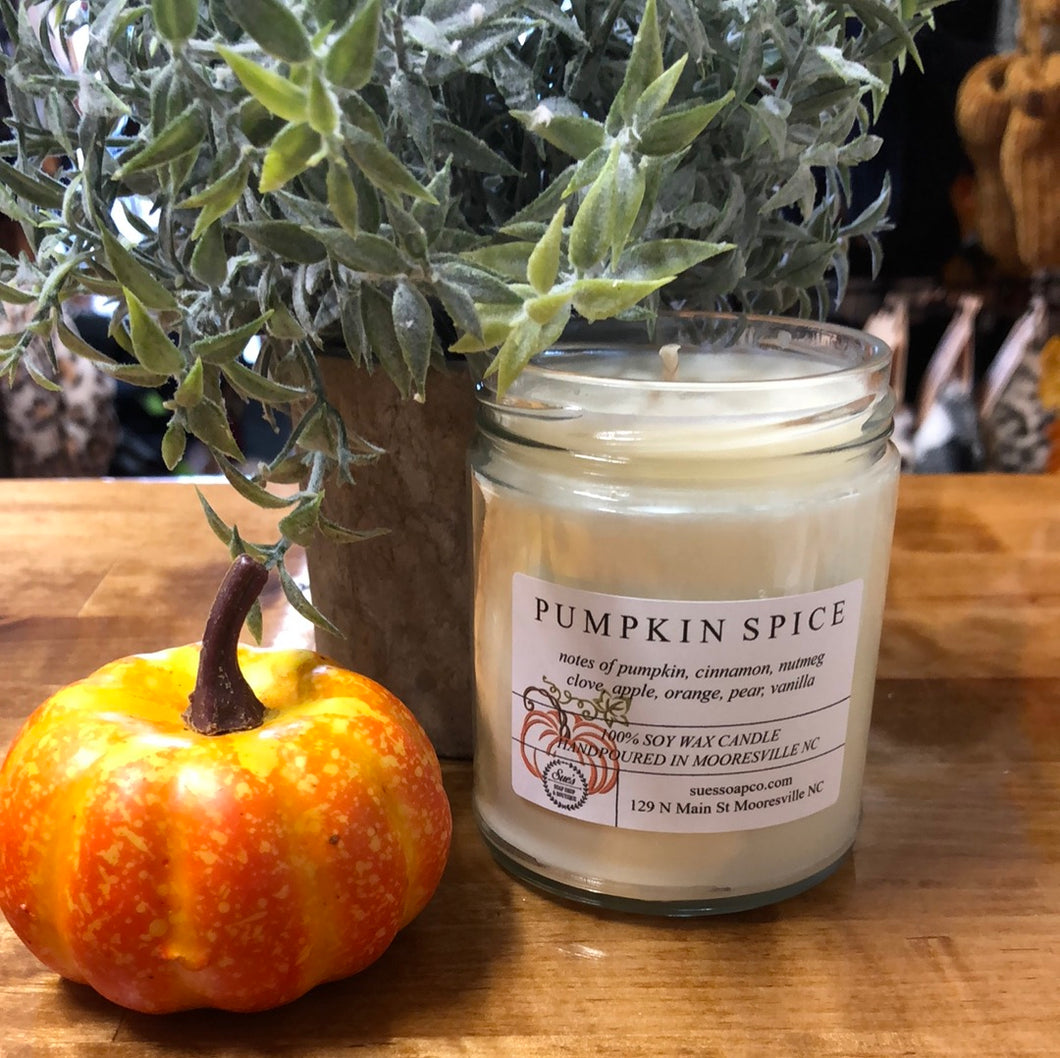 Pumpkin Spice Soy Wax Candle/Melt